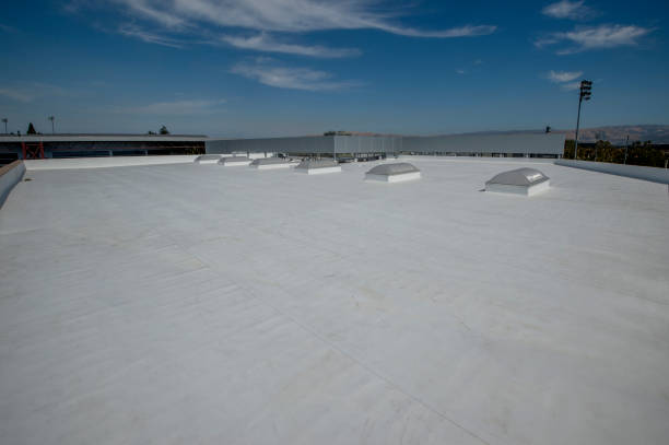 Best Asphalt Shingle Roofing  in Van Vleck, TX