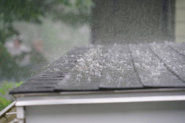 Best Emergency Roof Repair Services  in Van Vleck, TX