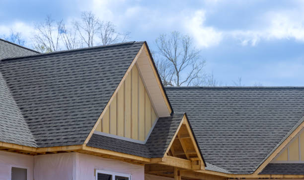 Best Gutter Installation and Repair  in Van Vleck, TX