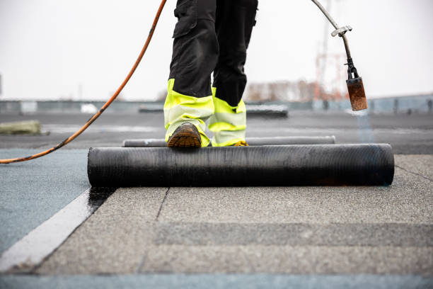 Best Roof Coating and Sealing  in Van Vleck, TX