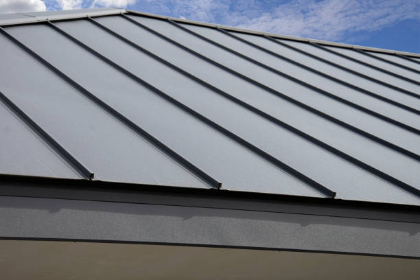Best Solar Panel Roofing Installation  in Van Vleck, TX