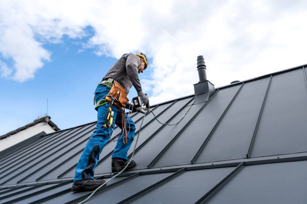 Best Asphalt Shingle Roofing  in Van Vleck, TX