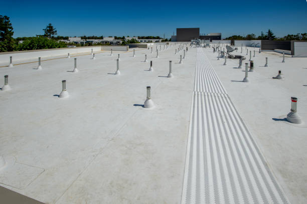 Best Roof Coating Services  in Van Vleck, TX